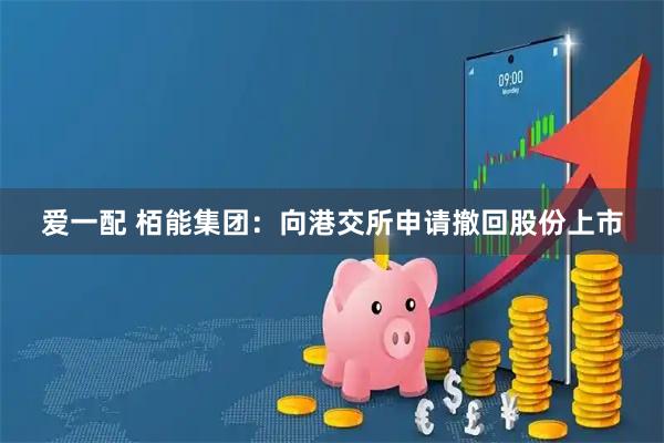 爱一配 栢能集团：向港交所申请撤回股份上市