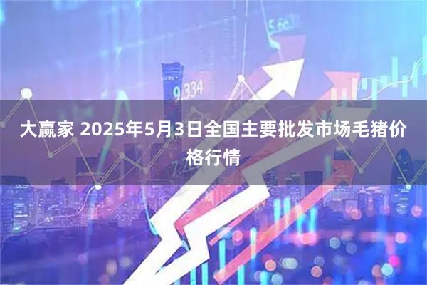大赢家 2025年5月3日全国主要批发市场毛猪价格行情