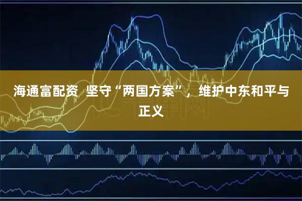 海通富配资  坚守“两国方案”，维护中东和平与正义