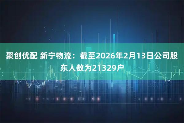 聚创优配 新宁物流：截至2026年2月13日公司股东人数为21329户