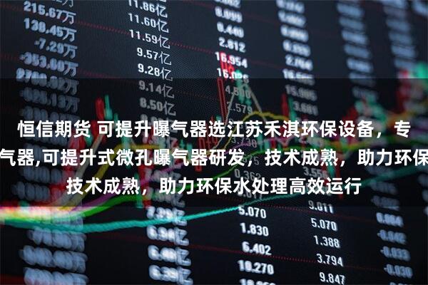 恒信期货 可提升曝气器选江苏禾淇环保设备，专注可提升管式曝气器,可提升式微孔曝气器研发，技术成熟，助力环保水处理高效运行